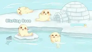 Baby Seals Animated Stream Overlays | Twitch Package | Twitch Overlays