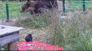 08.10.2023   