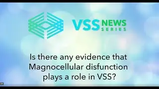 Is there any evidence that  Magnocellular disfunction  plays a role in VSS?
