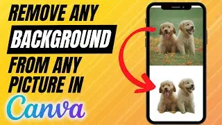 How To Remove Images Background In Canva Mobile App (2025)