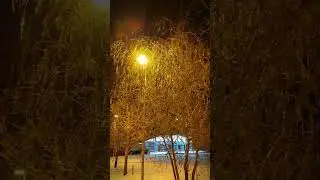 Игра света