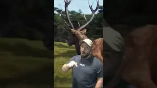 The Matariki Park DLC is heading to Way of the Hunter! #wayofthehunter #wayof #thehunter #hunting