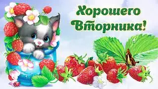 Классное пожелание хорошего вторника! Музыкальная открытка!