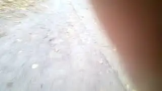 погода в ноябре