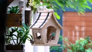 DIY Wooden Bird Feeder