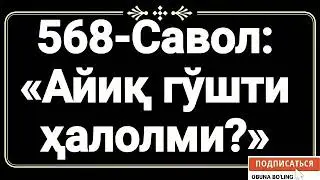 568-Савол: 
«Айиқ гўшти халолми?»