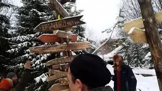 Шиес Города и страны поддерживают повстанцев.