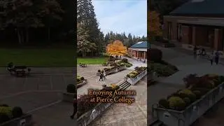 #Autumn