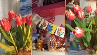 Красота на 8 Марта! 😍 AIDA ASKEROVA 