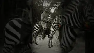 WW1 in Historical Photos 