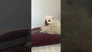КАССИ ПОТРАТИЛА ВСЕ ДЕНЬГИ БРЮСА😈