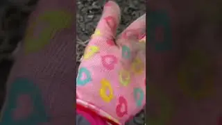 Коп на полі 