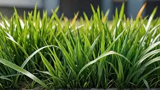 The Ultimate Guide to Realistic Grass in Blender