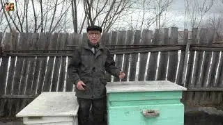 Пропала матка весной❗ Как спасти и сохранить семью?