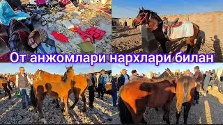 Сурхондарё сариосиё пайшанба от бозори