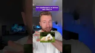 Как зарабатывать на фотках БЕЗ ТЕКСТА