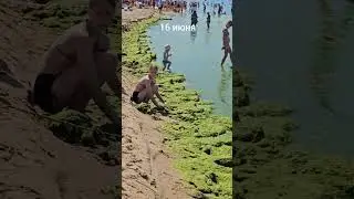 После этого видео Вы не захотите в Анапу😱 #отдыхначерномморе #анапа #анапа2024 #анапасегодня
