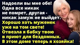 Отвезла я бабку твою в приют для бездомных. В этом доме теперь я хозяйка! Любовные истории Рассказ