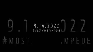 Running with the herd. 9.14.2022 