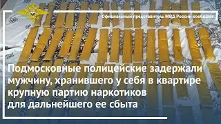 Ирина Волк: Подмосковные полицейские задержали мужчину, хранившего у в квартире партию наркотиков