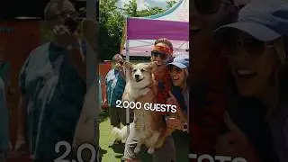 Hammy hosted the BIGGEST dog party!