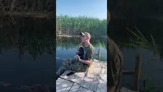 ЗСУ маэ талант