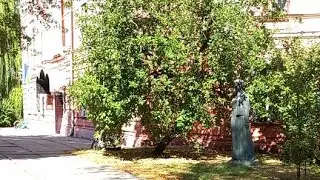 в эфире! INSECTS, IDOLS, SCULPTURES, Kyi, Schek, Khoriv, Lybid, Shevchenko, Primachenko Kyiv UKRAINE