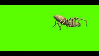 Green Screen Spider Running | Green Screen Cartoon | 