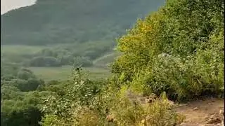 Камчатка 