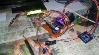 Cat Monitoring Device
