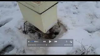 Декабрьский контроль зимовки пчёл