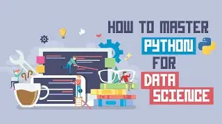 How to Master Python for Data Science