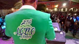 Lobo Mixteco ⋆MÚSICA DE CHILENAS En Vivo! INEDITO FULLᴴᴰ