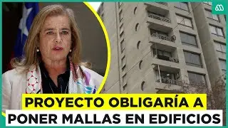 Proyecto de ley que obliga a poner mallas en departamentos lleva meses estancado