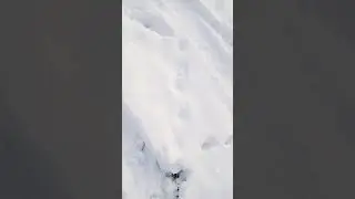 #выживание битва