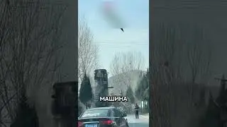 Погрузчик встал на дыбы