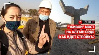 Как строят дорогу на 