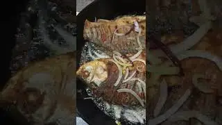 И снова караси! 