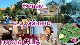 Столица Камбоджи. Королевская семья. Красные кхмеры. Обзор отеля в Пномпене.