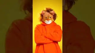 СИГМА КОТ ПОВСЮДУУУ😍