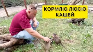 КОРМИМ ЛЮСЬКУ КАШЕЙ, И ТУТ НАЧАЛОСЬ…