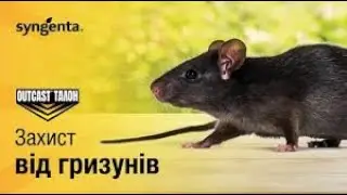 Родентицид Талон  Перевірений засіб для боротьби з гризунами