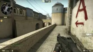 Апасный гусь и Апасный петух играют в cs:go