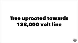 Tree uprooted next to 138,000 volt line