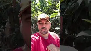 YABANCI DİL PROBLEMİ BİTTİ