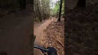 Brand new flow trail!