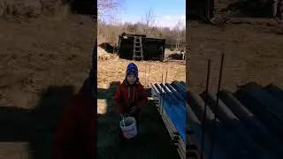 Весенние делишки.         