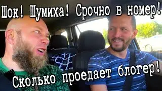 ПРИЕХАЛ В ДЕРЕВНЮ И ПОСЛЕ РАБОТЫ УСТРОИЛ ВЕЧЕРИНКУ С ГУРИНЫМ И БЛОКНОТОМ. С УТРА ПОШЁЛ ЗА ГРИБАМИ.