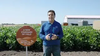 Soybean Production Systems and Digital Technologies