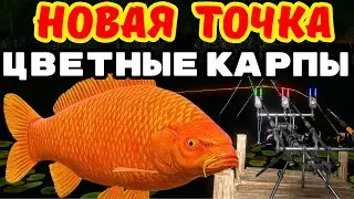 МЕДНОЕ ИЩЕМ КЛЁВ 🎁 РОЗЫГРЫШИ И ТУРНИРЫ 🔴 В  РУЛЕТКЕ - РАПТОР, ВЕНГА  💥СТРИМ РР4